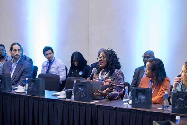 People speaking at roundtable